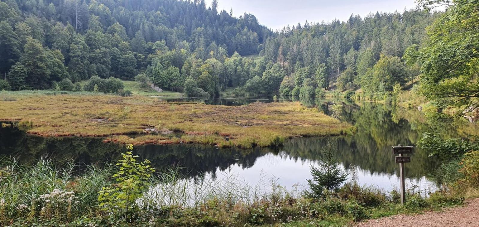 Ferienwohnung Nani Kleines Wiesental Экстерьер фото