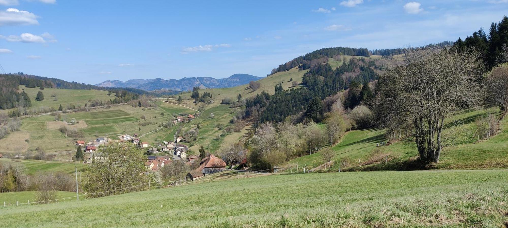 Ferienwohnung Nani Kleines Wiesental Экстерьер фото